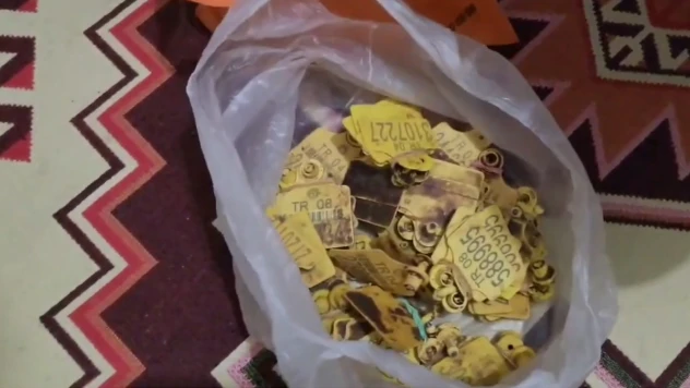 Usulsüz şekilde hayvan sevki yapan 9 şüpheli yakalandı