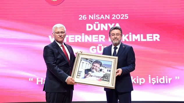 Veteriner hekimler, sahipsiz köpek sorununun çözümünde daha fazla görev üstlenecek