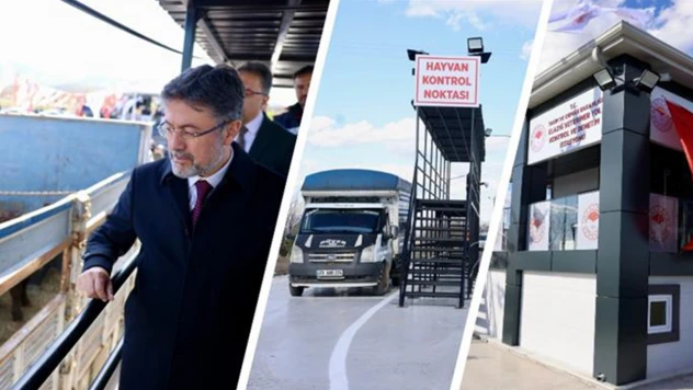 Veteriner yol kontrol ve denetim istasyonunda inceleme