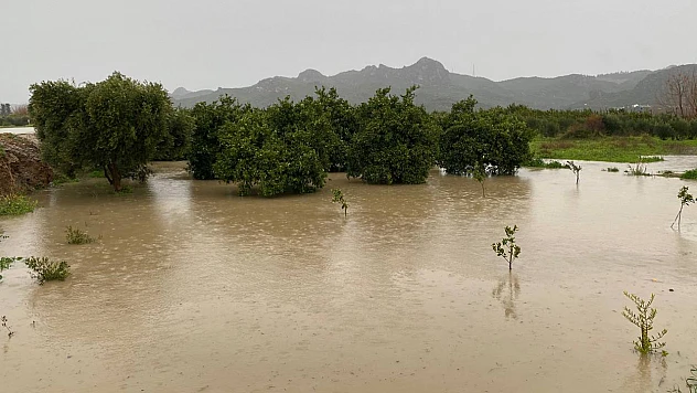 Yağışlardan olumsuz etkilenen üreticiler için tüm tedbirler alındı