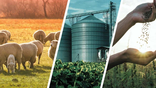 Yaklaşık 773 milyon liralık tarımsal destekleme ödemesi çiftçilerin hesaplarına aktarılıyor