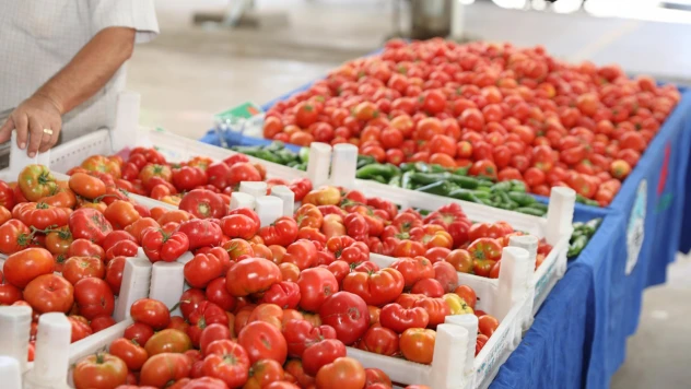 Yüzde 100 Ekolojik Pazar bu yıl yaklaşık 6,5 milyon lira ciro elde etti