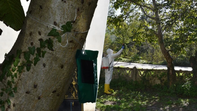 Zararlılara karşı 1 milyon 156 bin doğal düşman salımı gerçekleştirildi