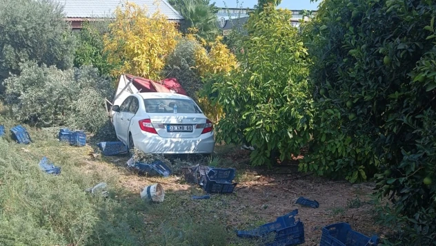 Zeytin toplayan işçilere otomobil çarptı! 1 kişi öldü, 3 kişi yaralandı