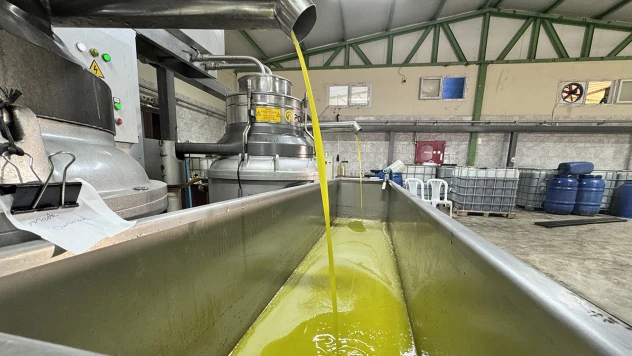 Zeytinyağı üretim tesisi mahallelinin geçim kaynağı oldu