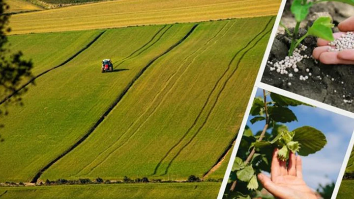 Bakanlık duyurdu! Tarımsal destekleme ödemeleri hesaplara aktarıldı