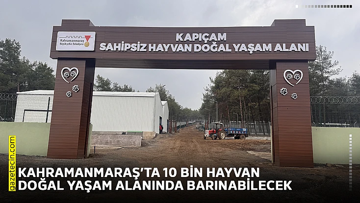 Kahramanmaraş’ta 10 bin hayvan doğal yaşam alanında barınabilecek