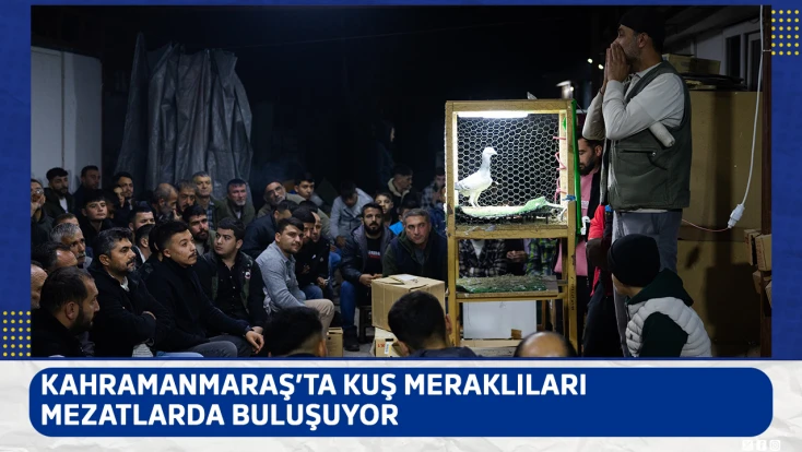 Kahramanmaraş’ta kuş meraklıları mezatlarda buluşuyor