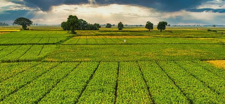 1 milyar 46 milyon TL'lik ödeme bugün hesaplarda