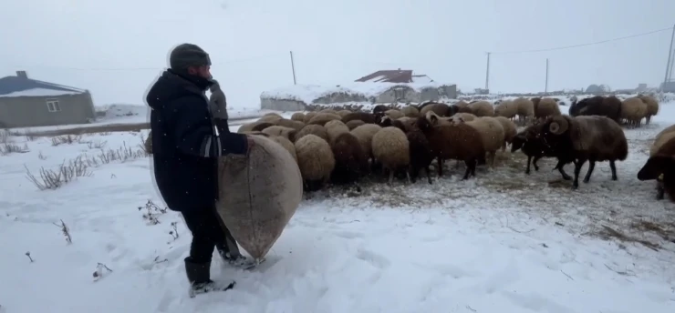 Besicilerin zorlu kış mesaisi başladı