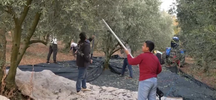 Köy okulunda eğitim sınıflara sığmadı