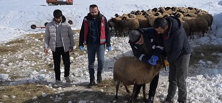 Sürülere kış mevsimine özel mobil sağlık hizmeti