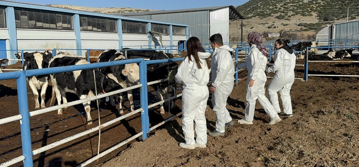 Üniversitenin uygulama çiftliği öğrencilere büyük imkan sağlıyor