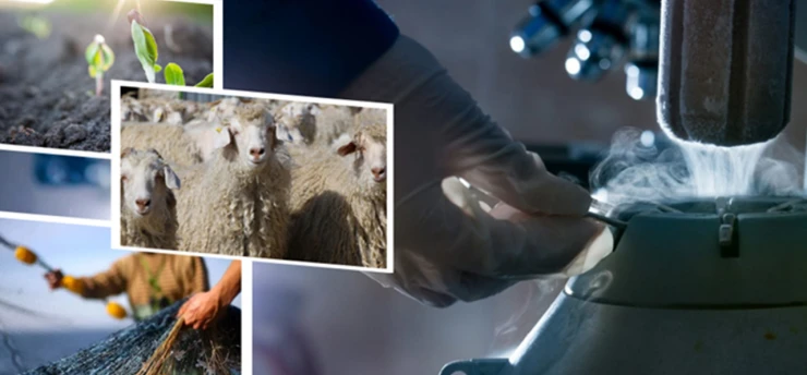 Üretim yapan çiftçilerin destek ödemesi yapıldı