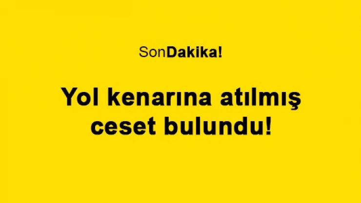 Yol kenarına atılmış ceset bulundu!