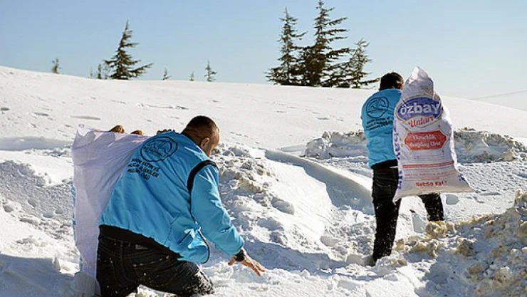Dulkadiroğlu Belediyesi, yaban hayvanlarına yem bıraktı!