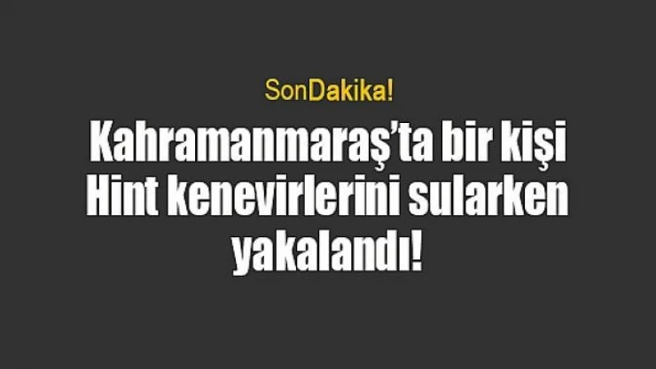 Kahramanmaraş'ta bir kişi Hint kenevirlerini sularken yakalandı!