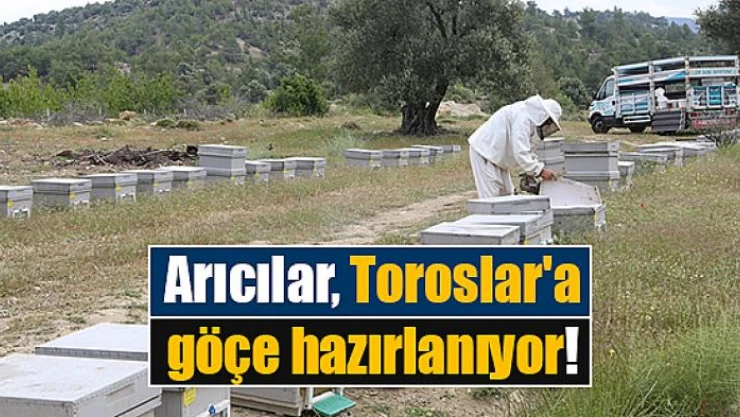 Arıcılar, Toroslar'a göçe hazırlanıyor!