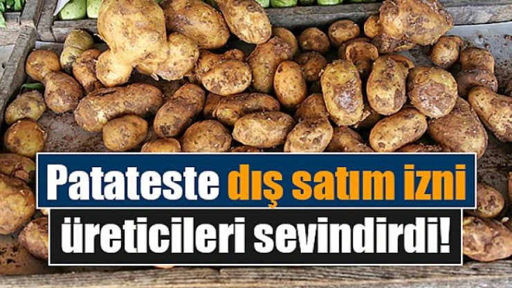 Patateste dış satım izni üreticileri sevindirdi