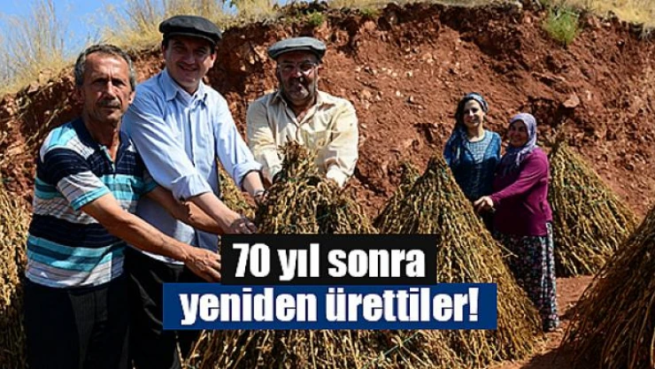 70 yıl sonra yeniden ürettiler!