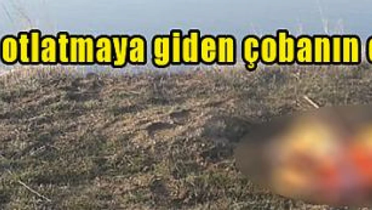 Afşin'de hayvan otlatmaya giden çobanın cesedi bulundu!