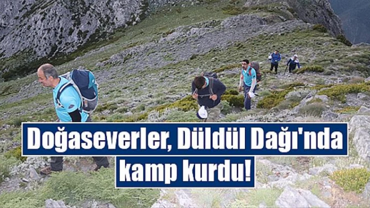 Doğaseverler, Düldül Dağı'nda kamp kurdu