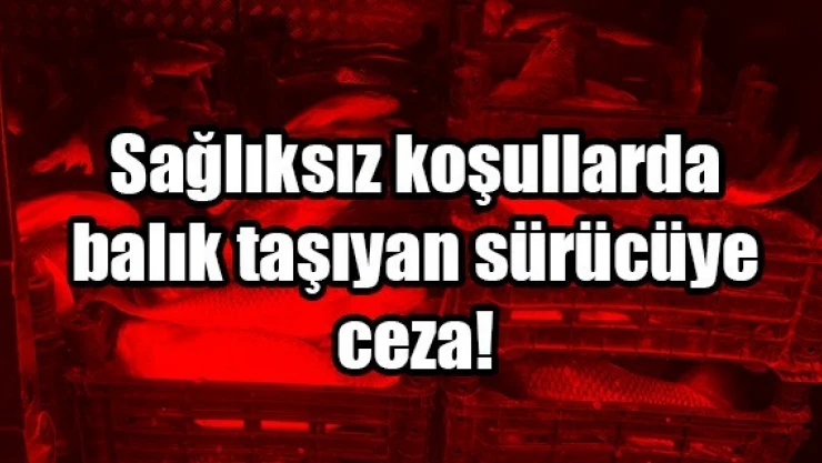 Sağlıksız koşullarda balık taşıyan sürücüye ceza!