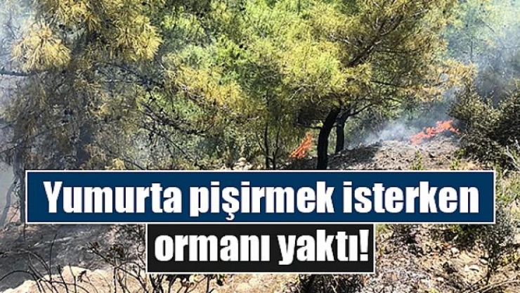 Yumurta pişirmek isterken ormanı yaktı