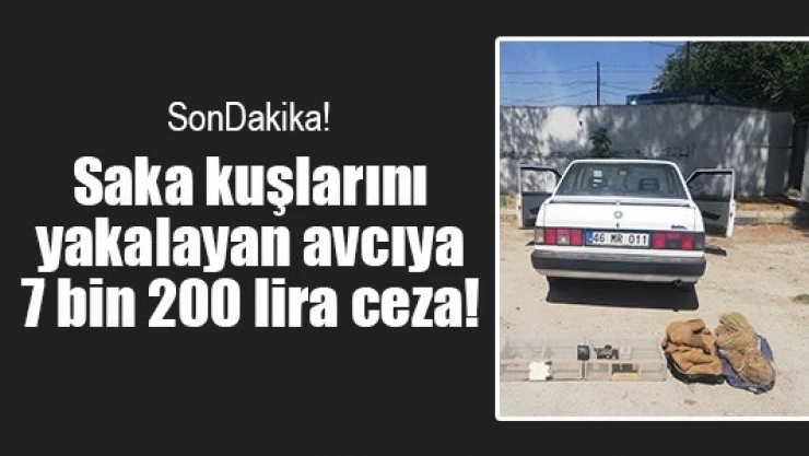 Saka kuşlarını yakalayan avcıya 7 bin 200 lira ceza!