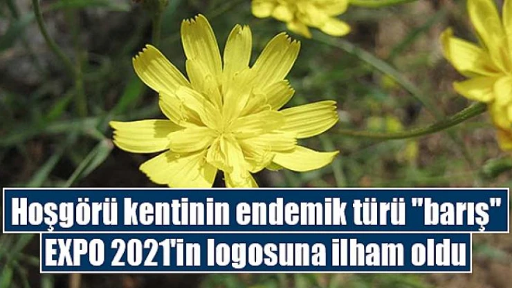 Hoşgörü kentinin endemik türü barış, EXPO 2021'in logosuna ilham oldu