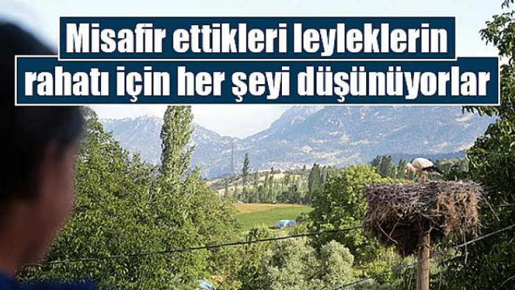 Misafir ettikleri leyleklerin rahatı için her şeyi düşünüyorlar