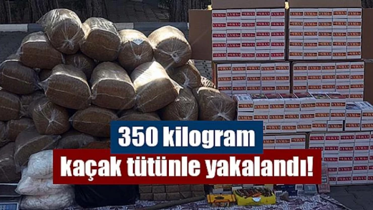 350 kilogram kaçak tütünle yakalandı!