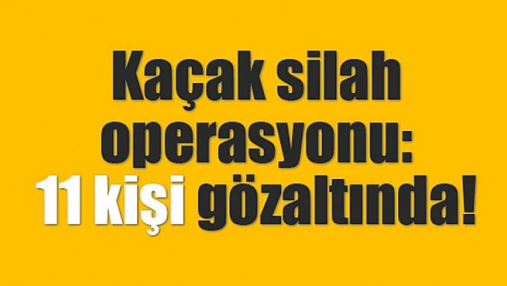Kaçak silah operasyonu: 11 kişi gözaltında
