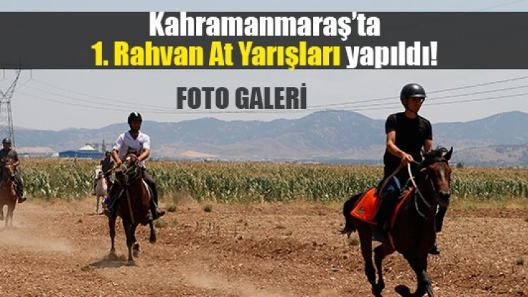 Kahramanmaraş'ta 1'inci Rahvan At Yarışları yapıldı