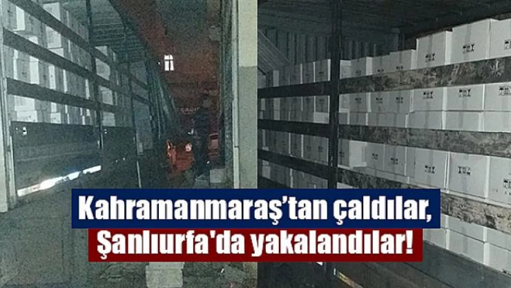 Kahramanmaraş'tan çaldılar, Şanlıurfa'da yakalandılar!