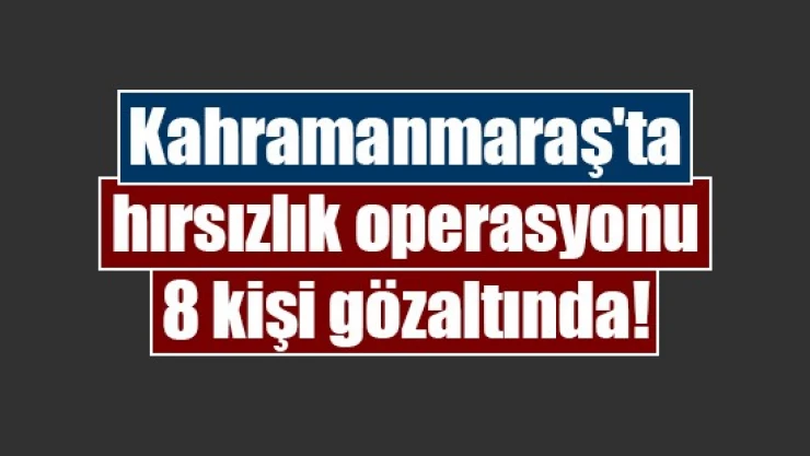 Kahramanmaraş'ta hırsızlık operasyonu: 8 kişi gözaltında!
