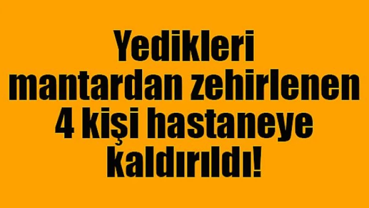 Yedikleri mantardan zehirlenen 4 kişi hastaneye kaldırıldı