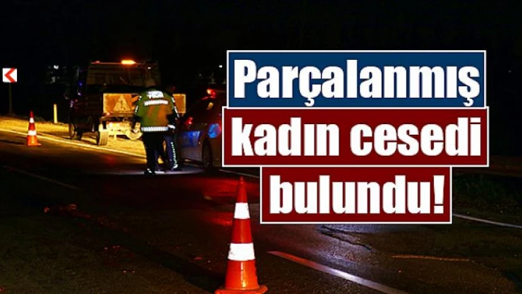 Parçalanmış kadın cesedi bulundu