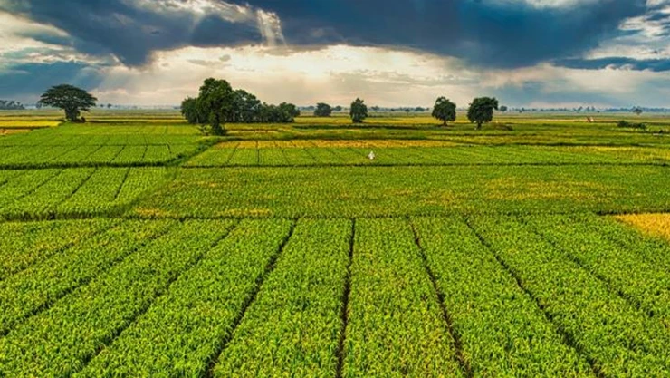 1 milyar 46 milyon TL'lik ödeme bugün hesaplarda