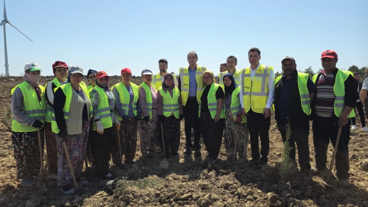 100 bin fidanlık enerji ormanı oluşturuluyor