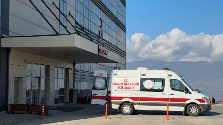 13 yaşındaki çocuk sahipsiz köpeklerin saldırısına uğradı