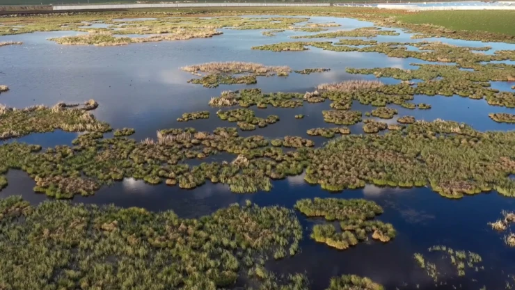 2 bin 237 rakımlı Çalı Gölü, 137 kuş türünü ağırladı