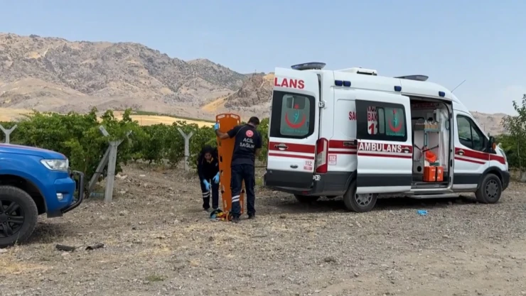 2 kişi sulama havuzunda ölü bulundu