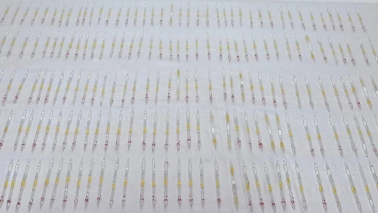 201 tüp kobra yılanı zehri ele geçirildi