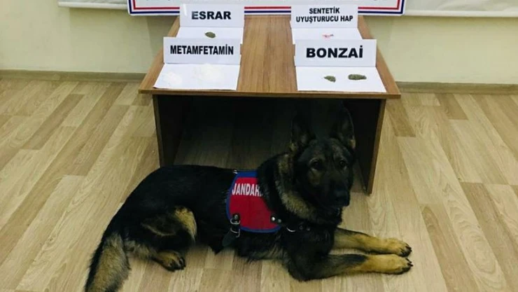 Kahramanmaraş'ta uyuşturucu operasyonu: 13 gözaltı!