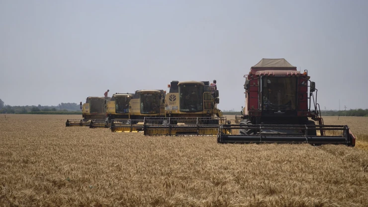 2025 hasat sezonu Beşparmak Arpasıyla başladı