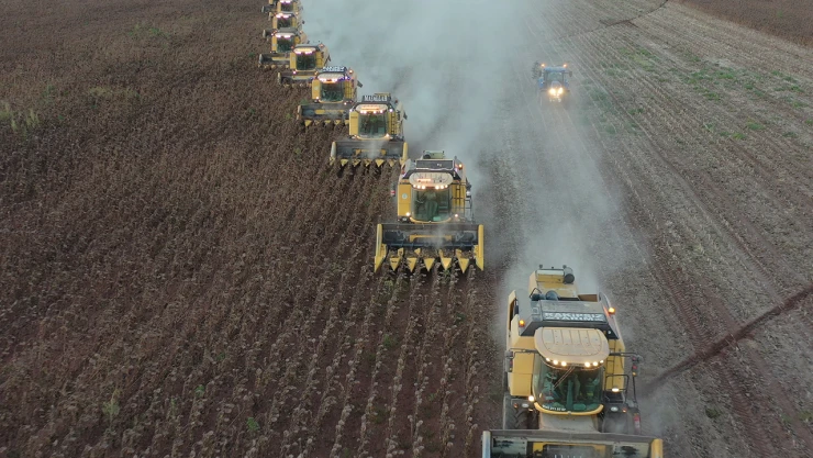 2025 yılı ilk Ayçiçek hasadı tamamlandı