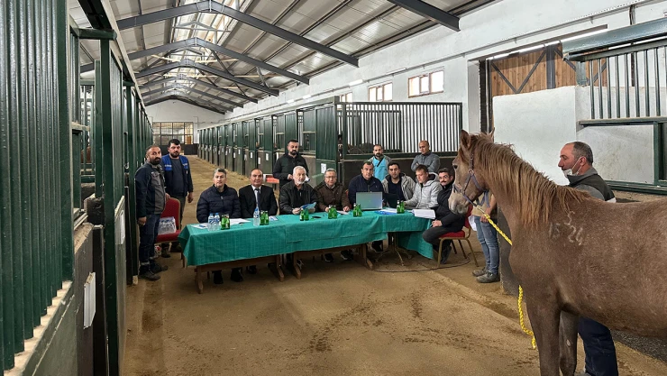 2025 yılı şampiyon adayı elit ve koşu taylarının seçimini tamamladı