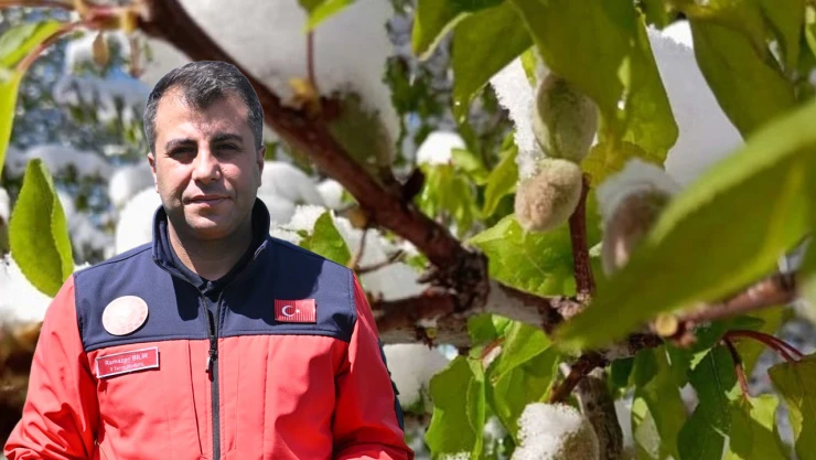 2025 zirai don afeti destekleme ödemeleri için ürün ve maliyet listesi açıklandı