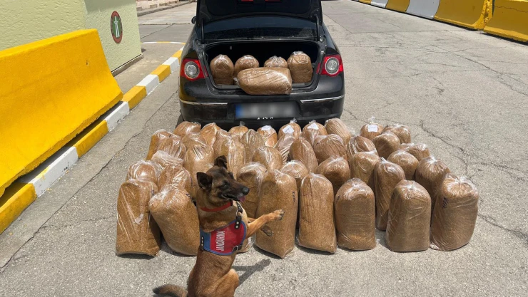 292 bin 102 makaron ve 250 kilogram bandrolsüz tütün ele geçirildi